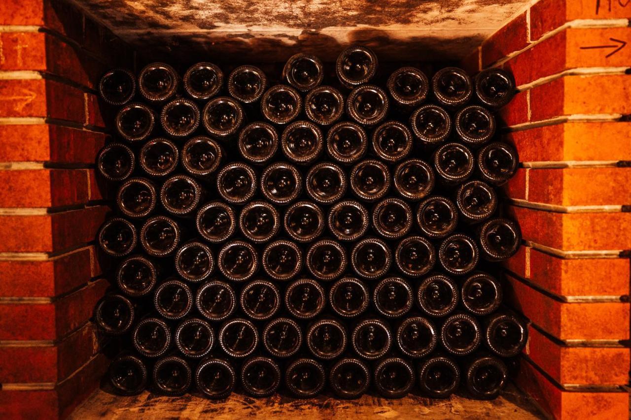 Wine Paradise Glavinic Miklavz pri Ormozu Ngoại thất bức ảnh