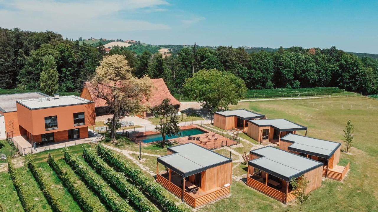 Wine Paradise Glavinic Miklavz pri Ormozu Ngoại thất bức ảnh